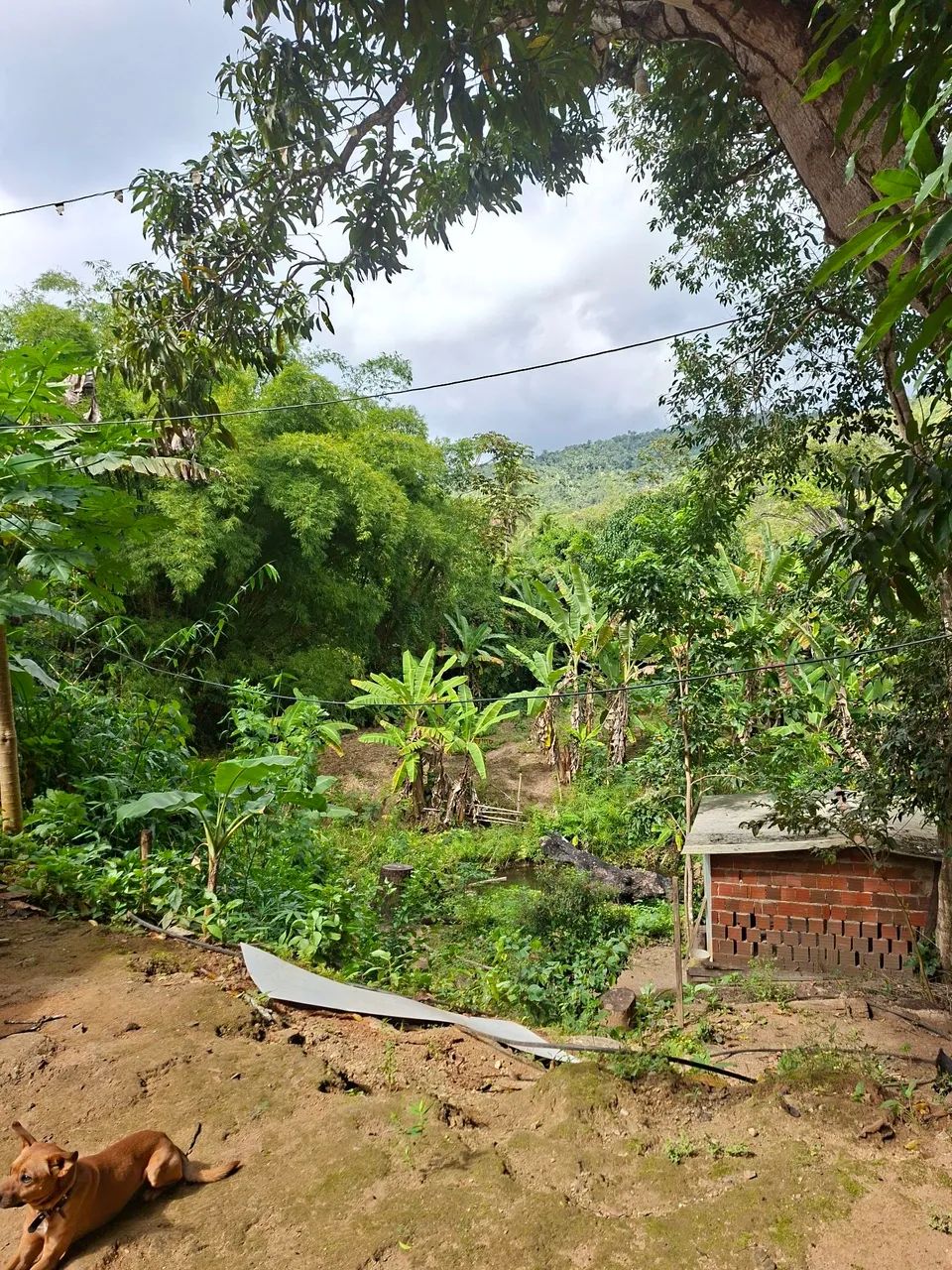 SITIO NO PACOTI - Foto 2