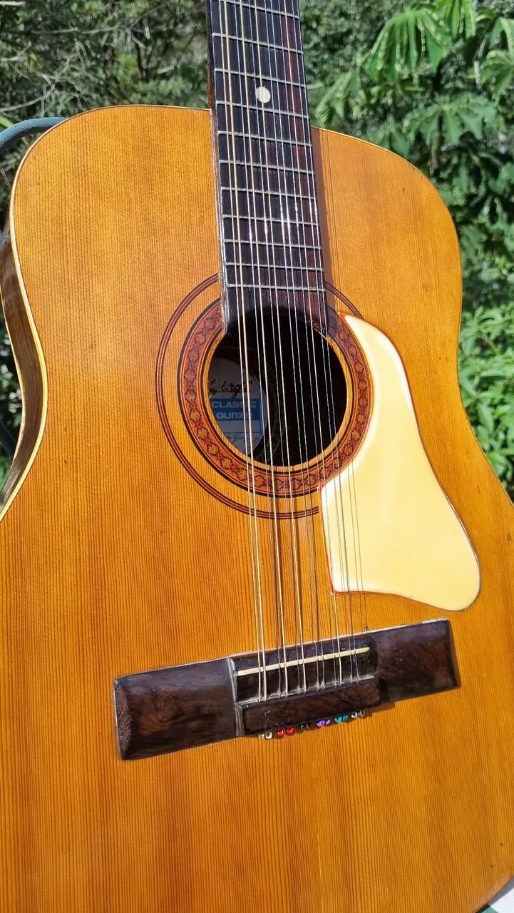 Violão 12 cordas digiorgio - Foto 4