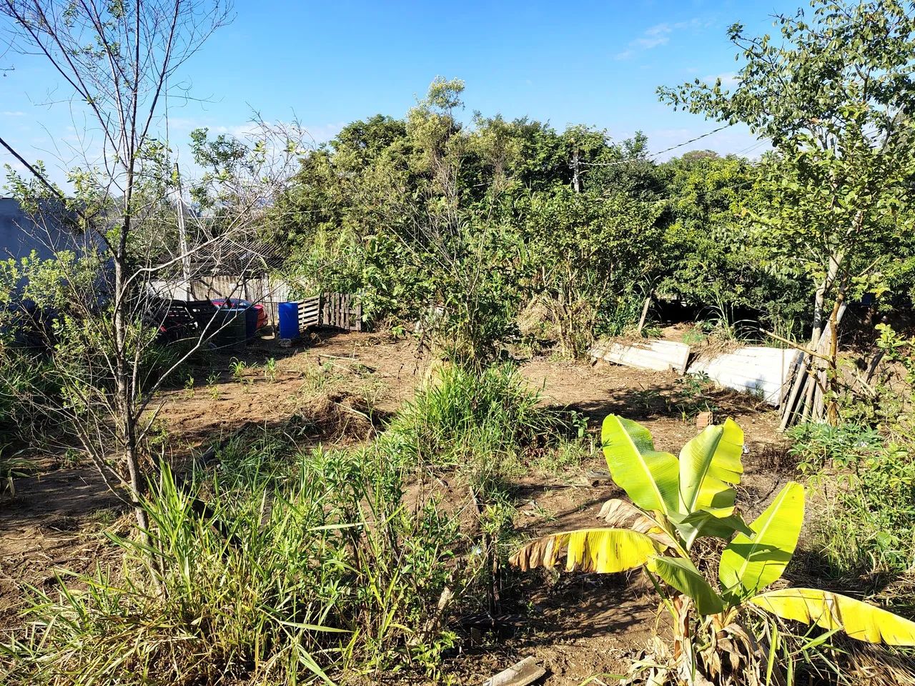 Terreno Inteiro de Esquina - Foto 2