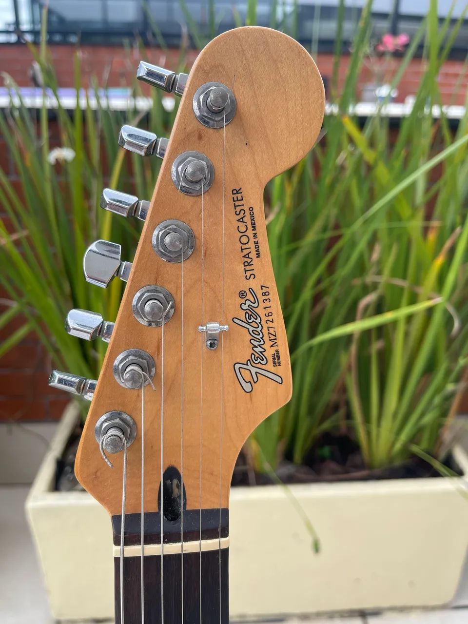 fender stratocaster mexico