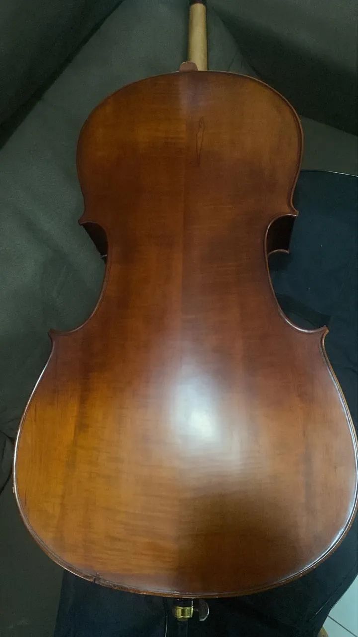 Violoncelo 4/4 Eagle CE300.