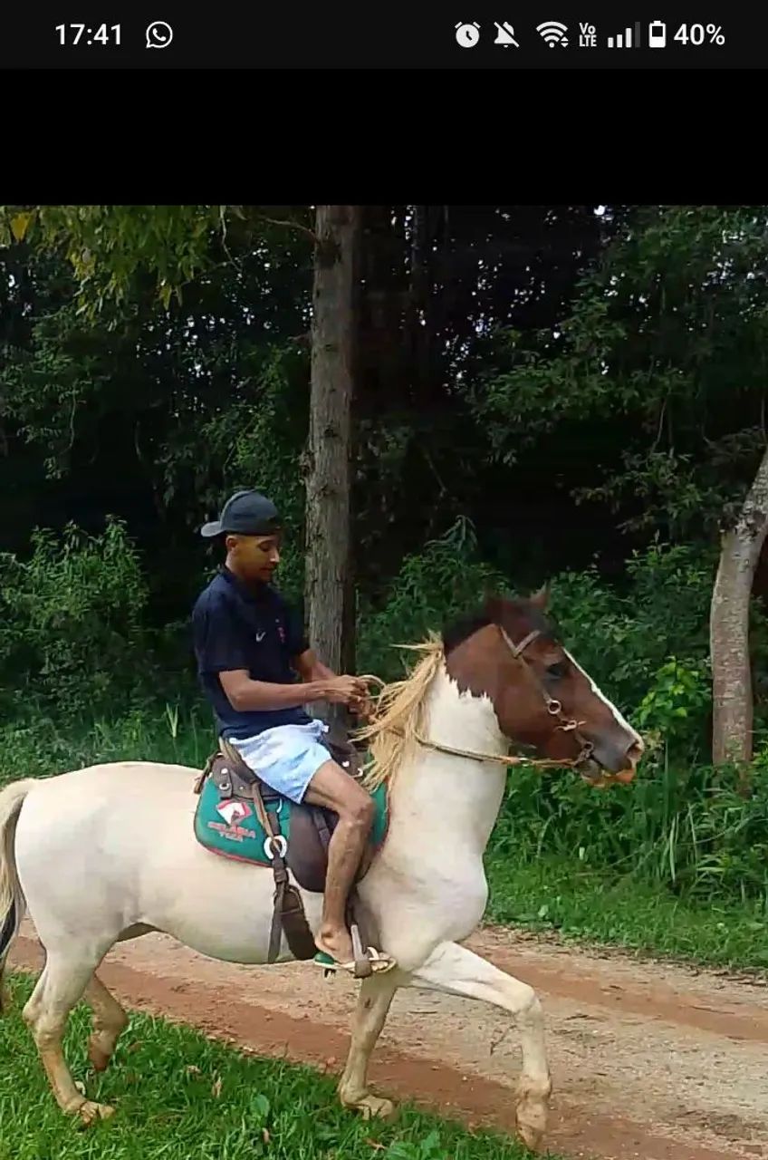 Cavalo manga larga  - Foto 3