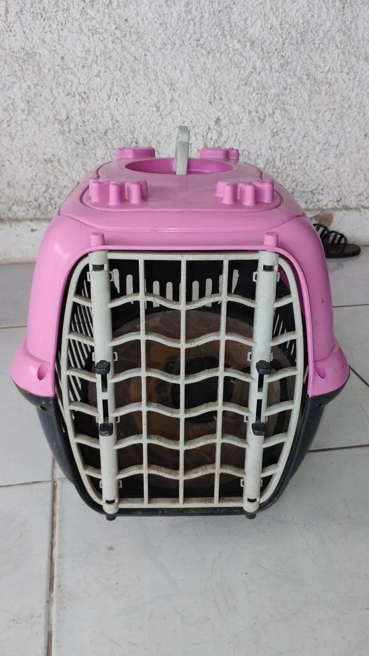 Caixa de transporte para animais