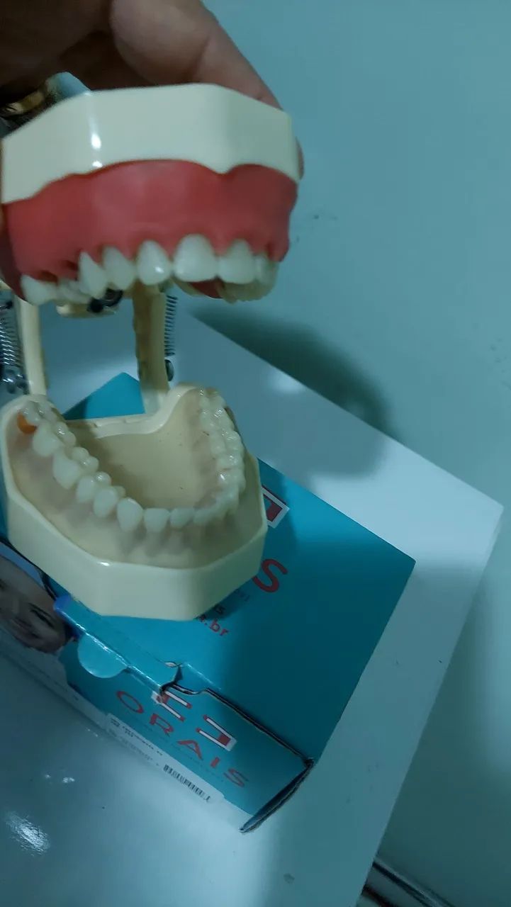 Manequim Odontologico - Foto 3