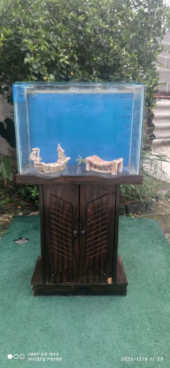 Aquário com suporte  - Foto 3