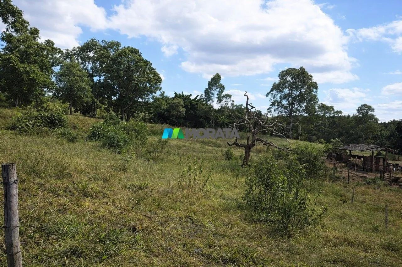SÍTIO À VENDA - 19 HECTARES - PIUMHI (MG) - Foto 2