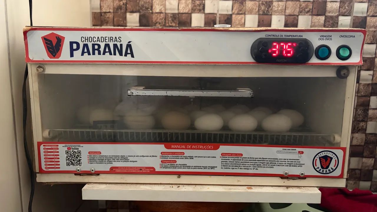 Chocadeira - Foto 2