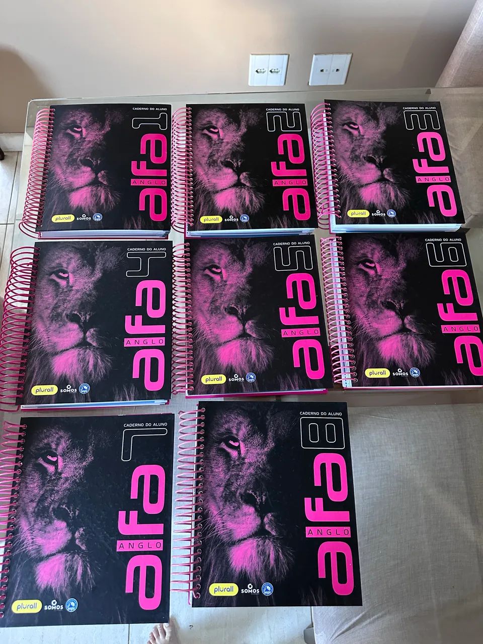 Caderno de Questões ANGLO 65569144818945120