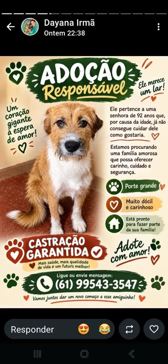 Cachorros para adoção responsável  - Foto 2