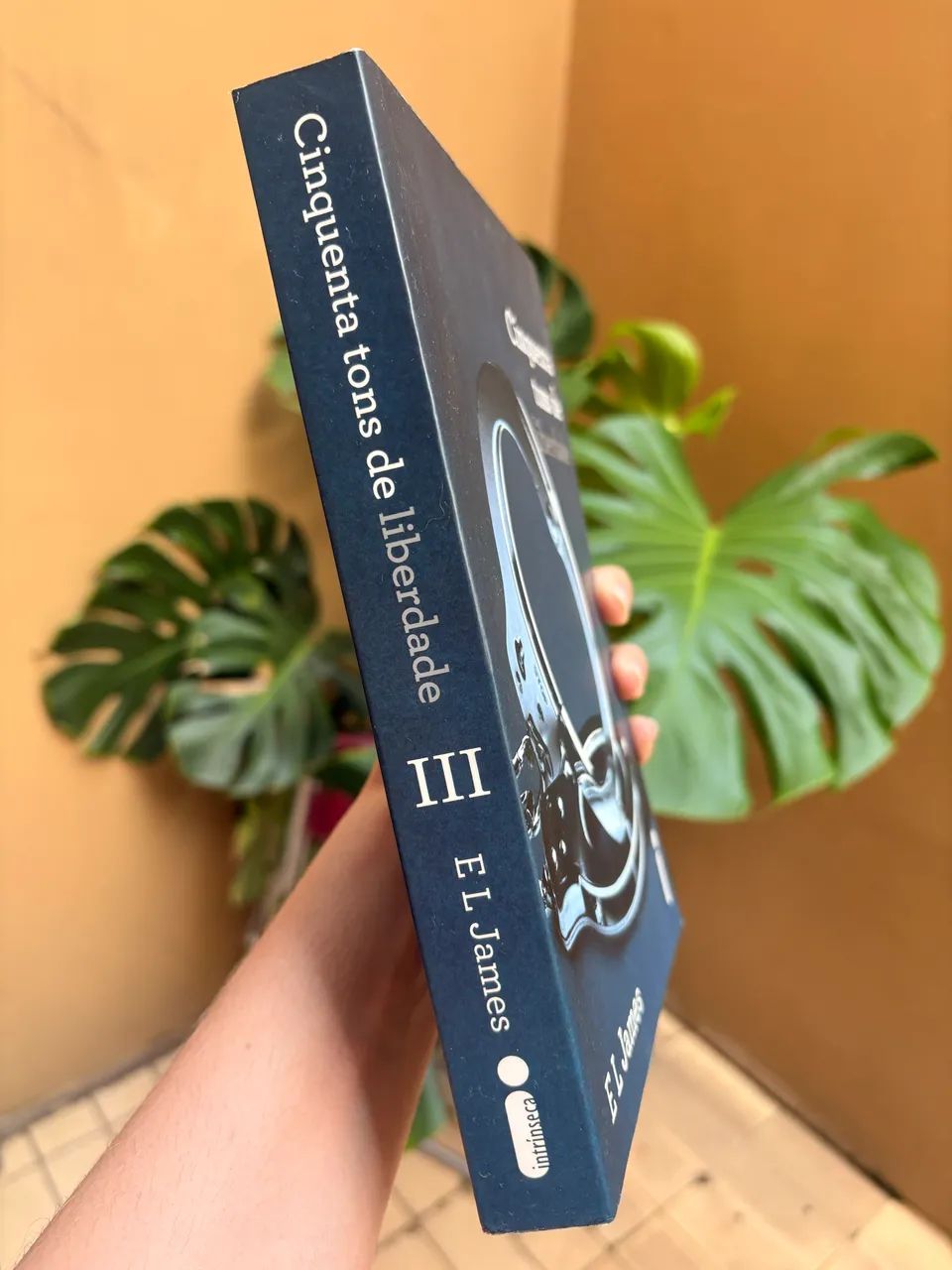 LIVRO CINQUENTA TONS DE LIBERDADE  - Foto 2
