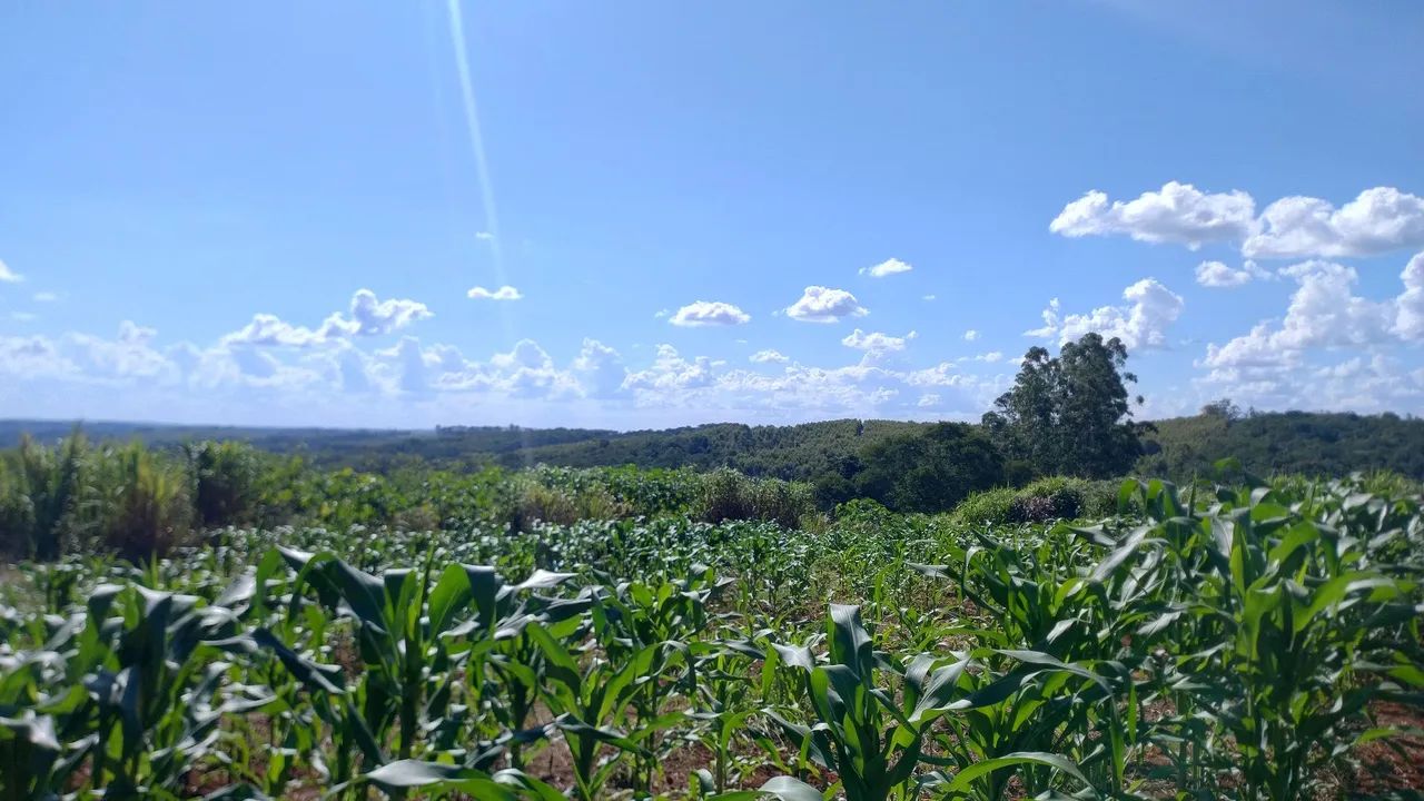 Terreno ideal para chácara de lazer  - Foto 4