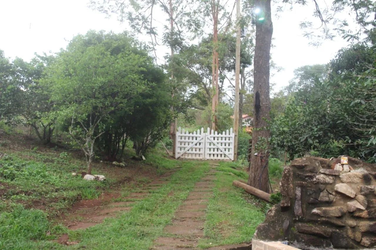 Alugo sitio a 60 km de BH (Caeté)  - Foto 4