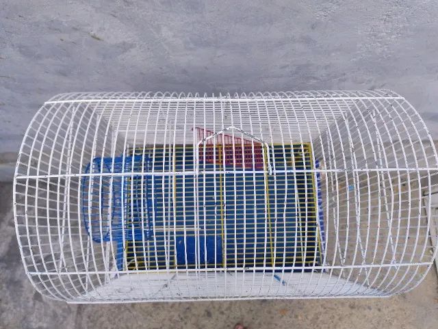 Gaiola de ramister  - Foto 2