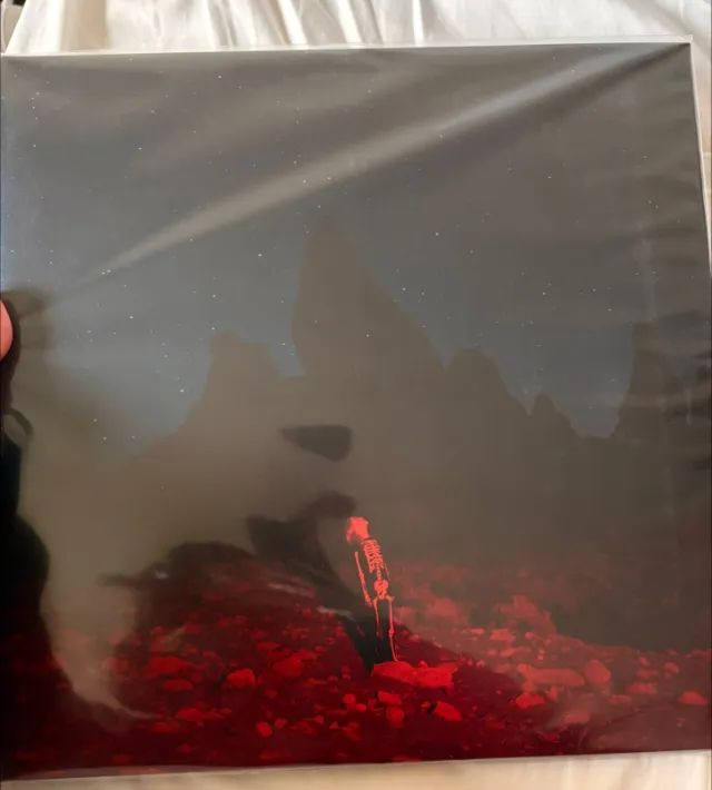 Vinil Punisher - Phoebe Bridgers