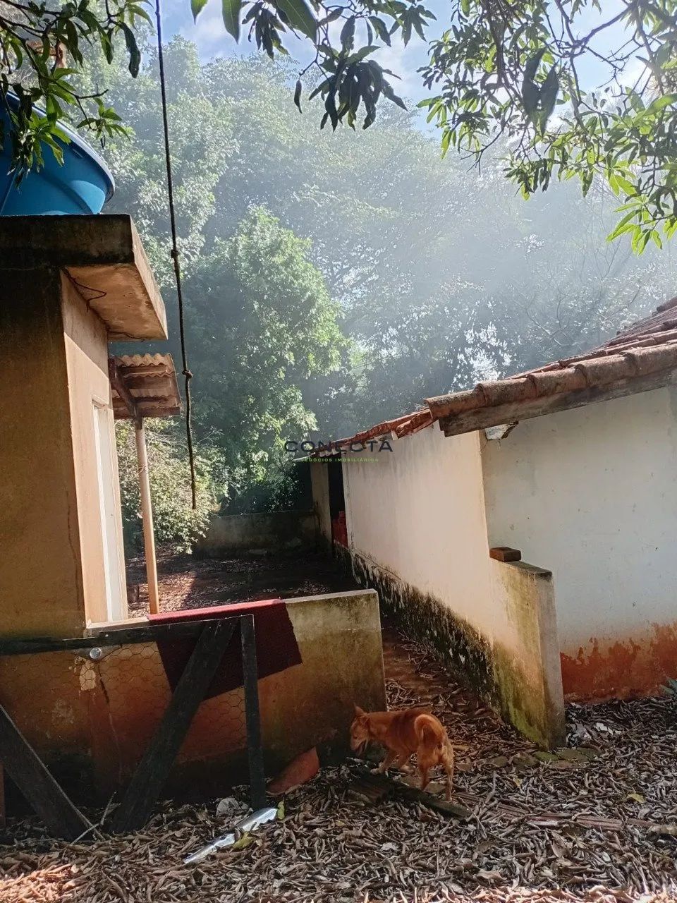 Chácara | Vila Rural | Ibiporã - Foto 2