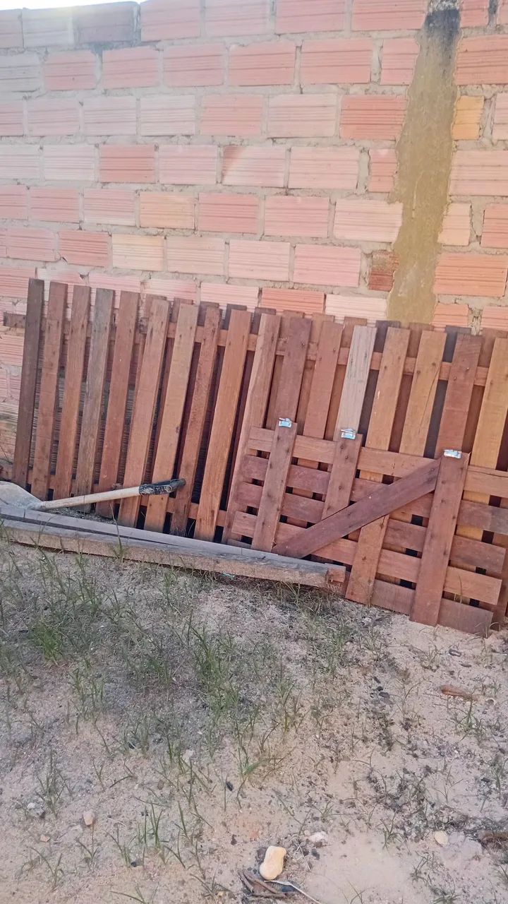 Cerca pronta