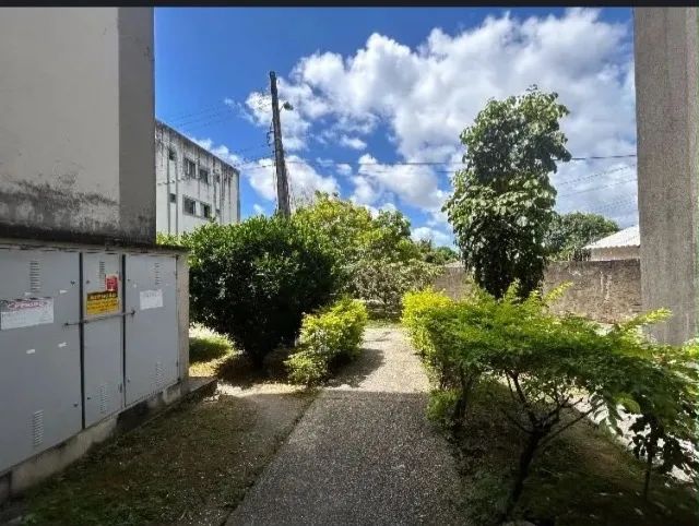 Apartamento/Jardim Petrópolis  - Foto 2