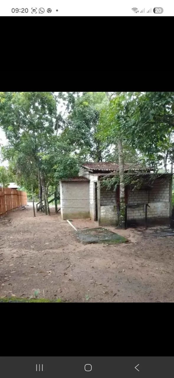 Terreno em alter do chao 