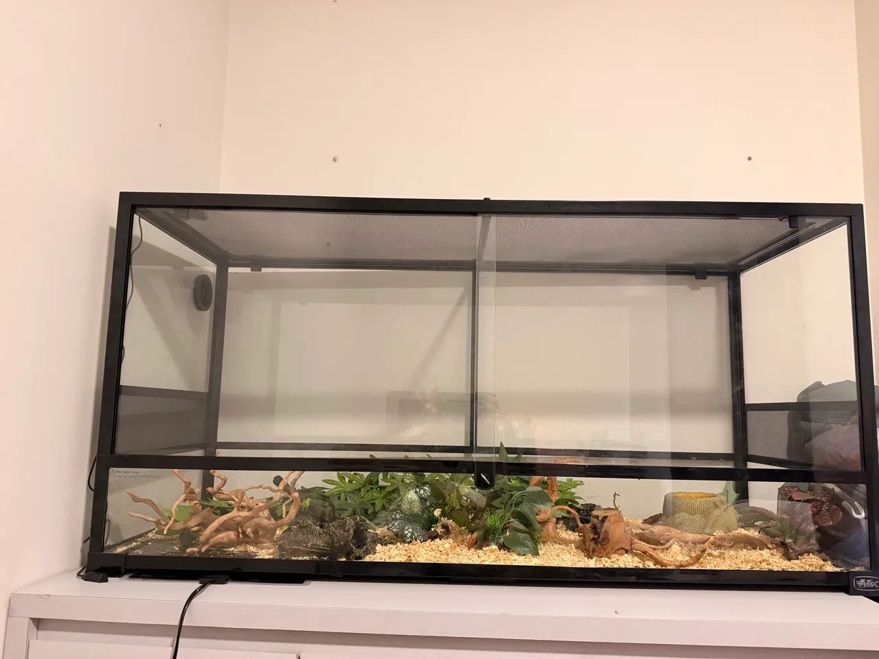 Terrário - Foto 4