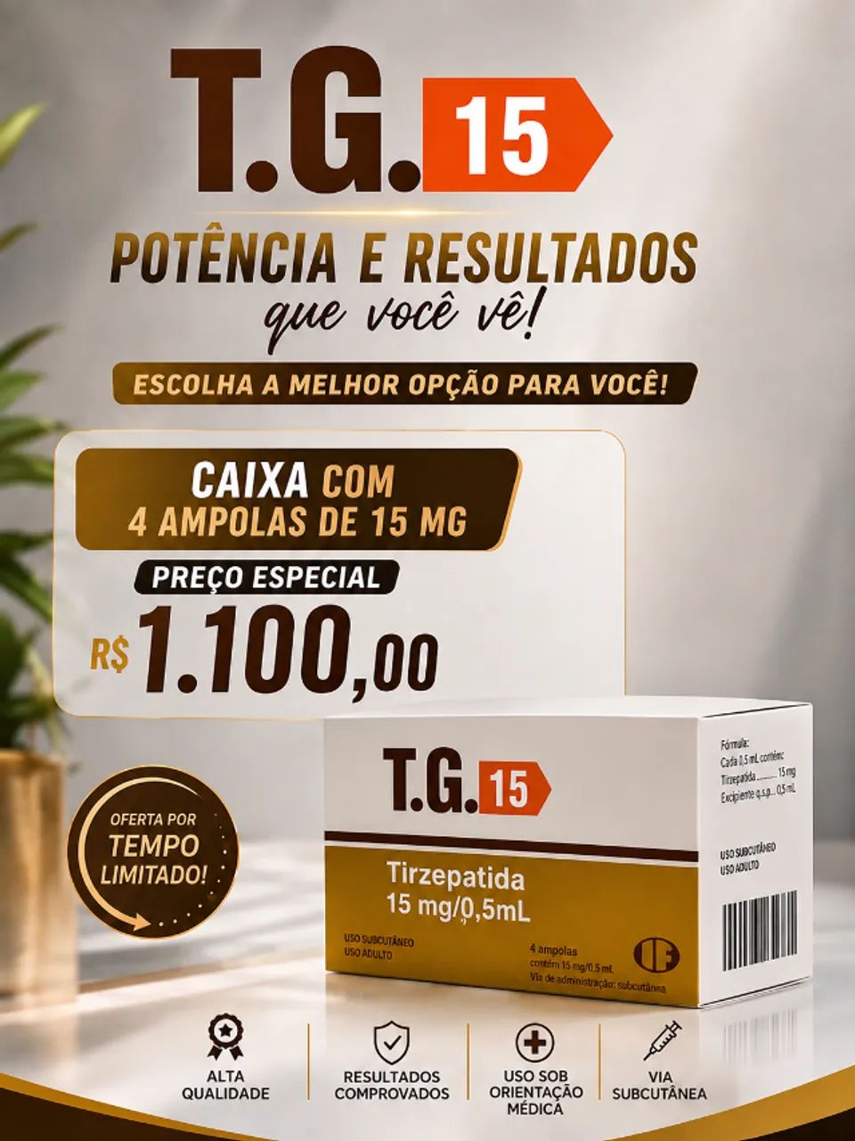 TG15 - Foto 2