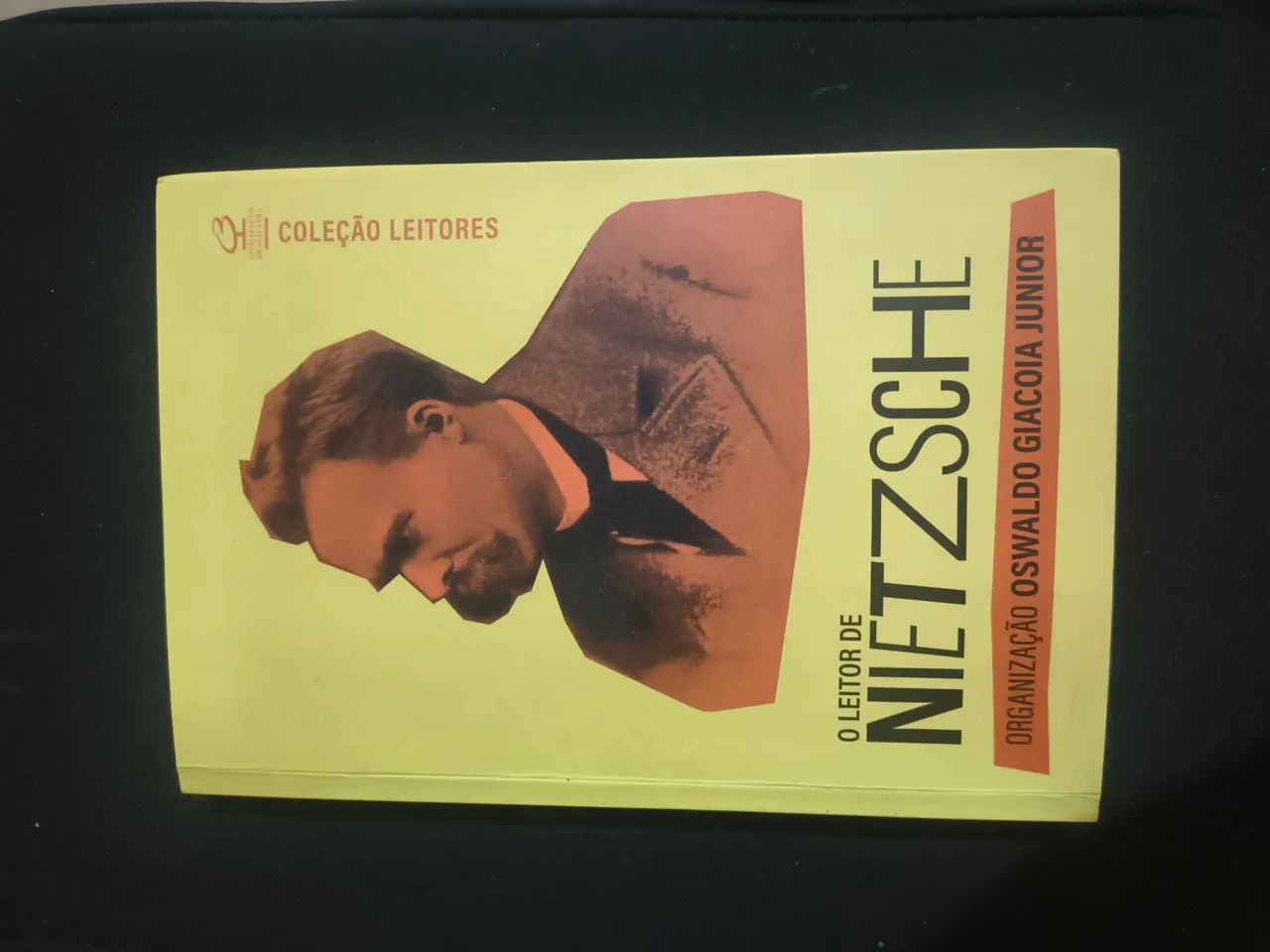 O leitor de Nietzsche 