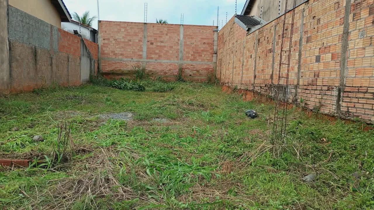 Vendo ágil de lote