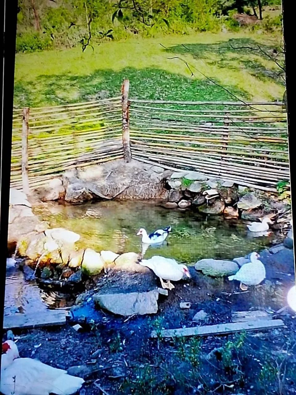 Vendo ou troco - Foto 2