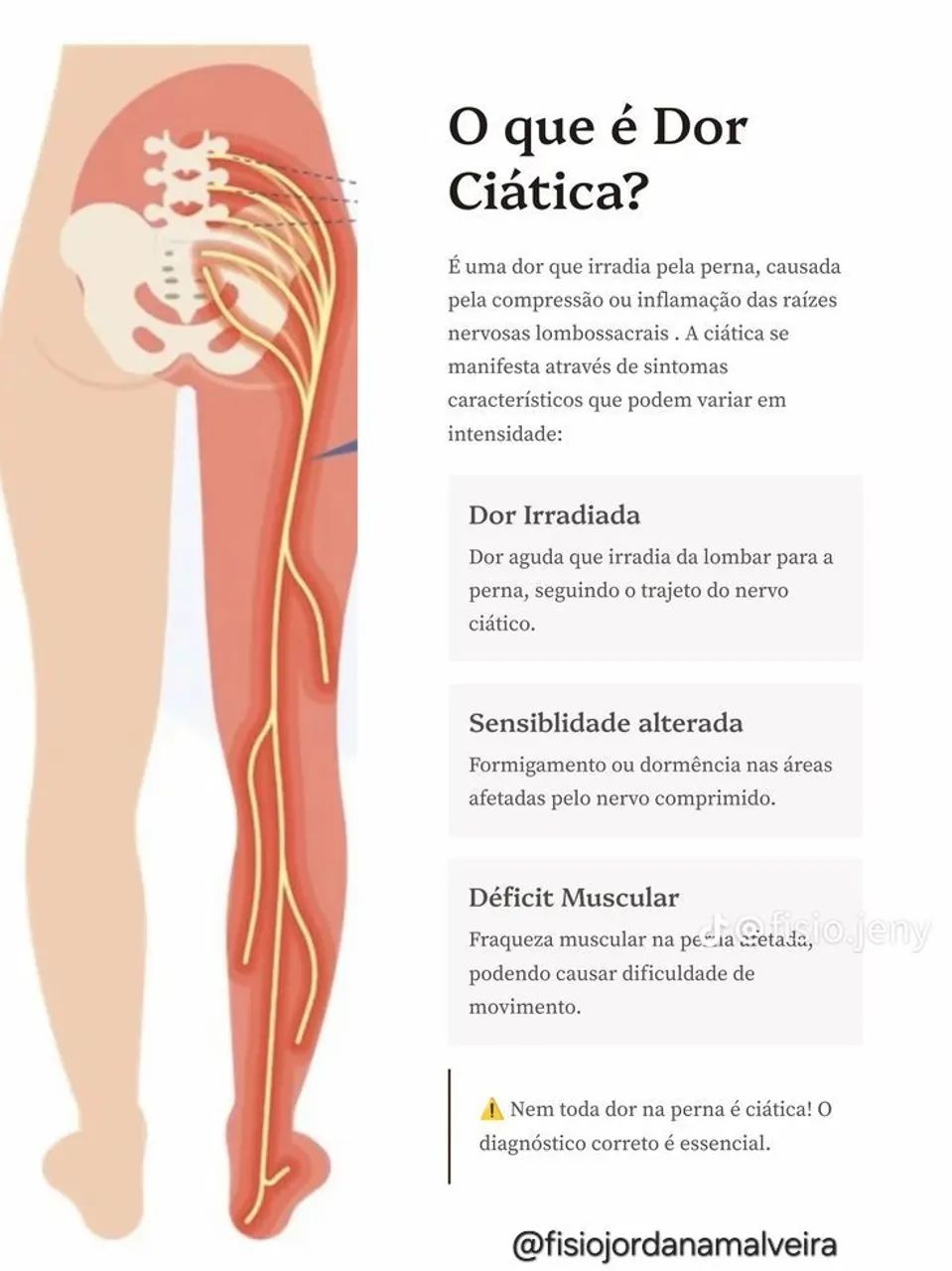 Fisioterapia op - Foto 4