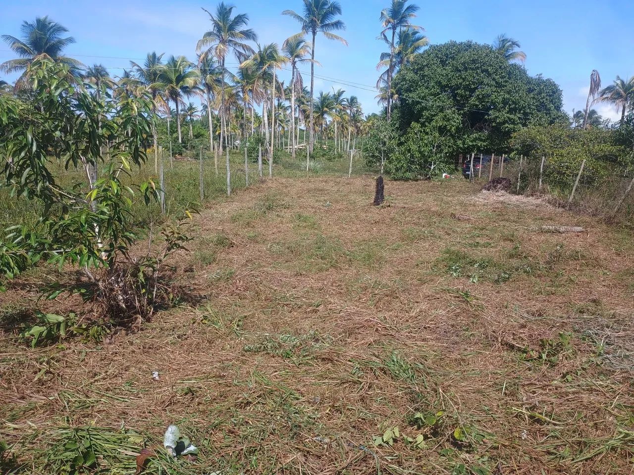 Venda  - Foto 2