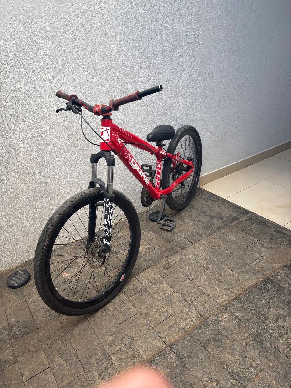 Gios vermelha - Foto 4