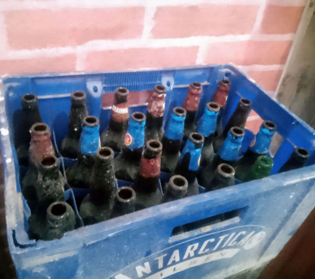 Vendo grandes com garrafas de 600ml - Foto 2