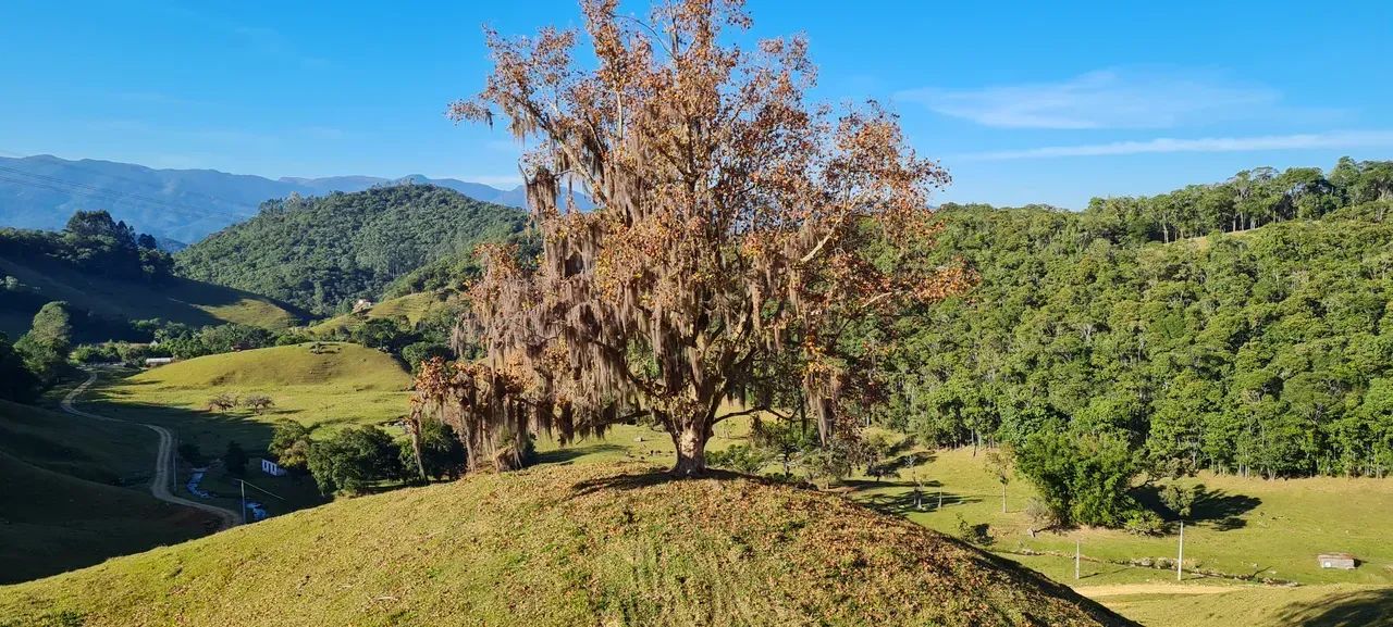 Sitio com linda vista em Águas Mornas - SC - Foto 2