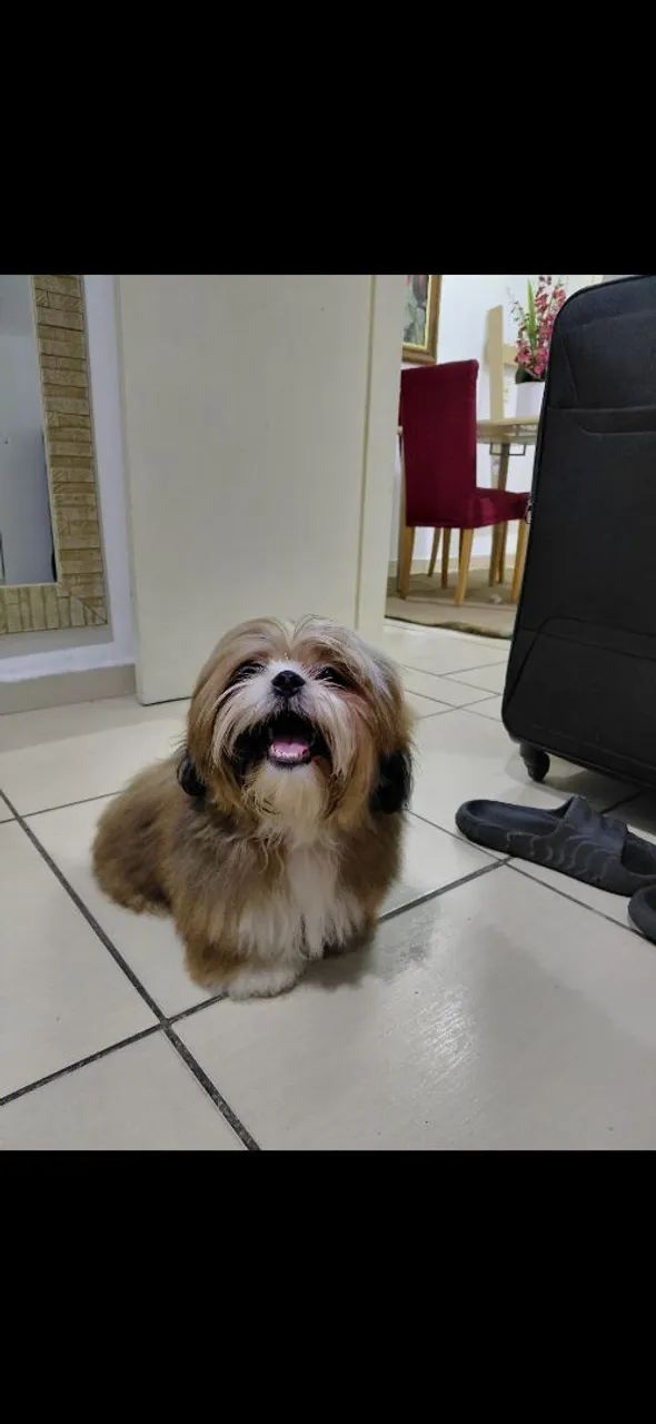 Procura-se uma namorada  - Foto 3