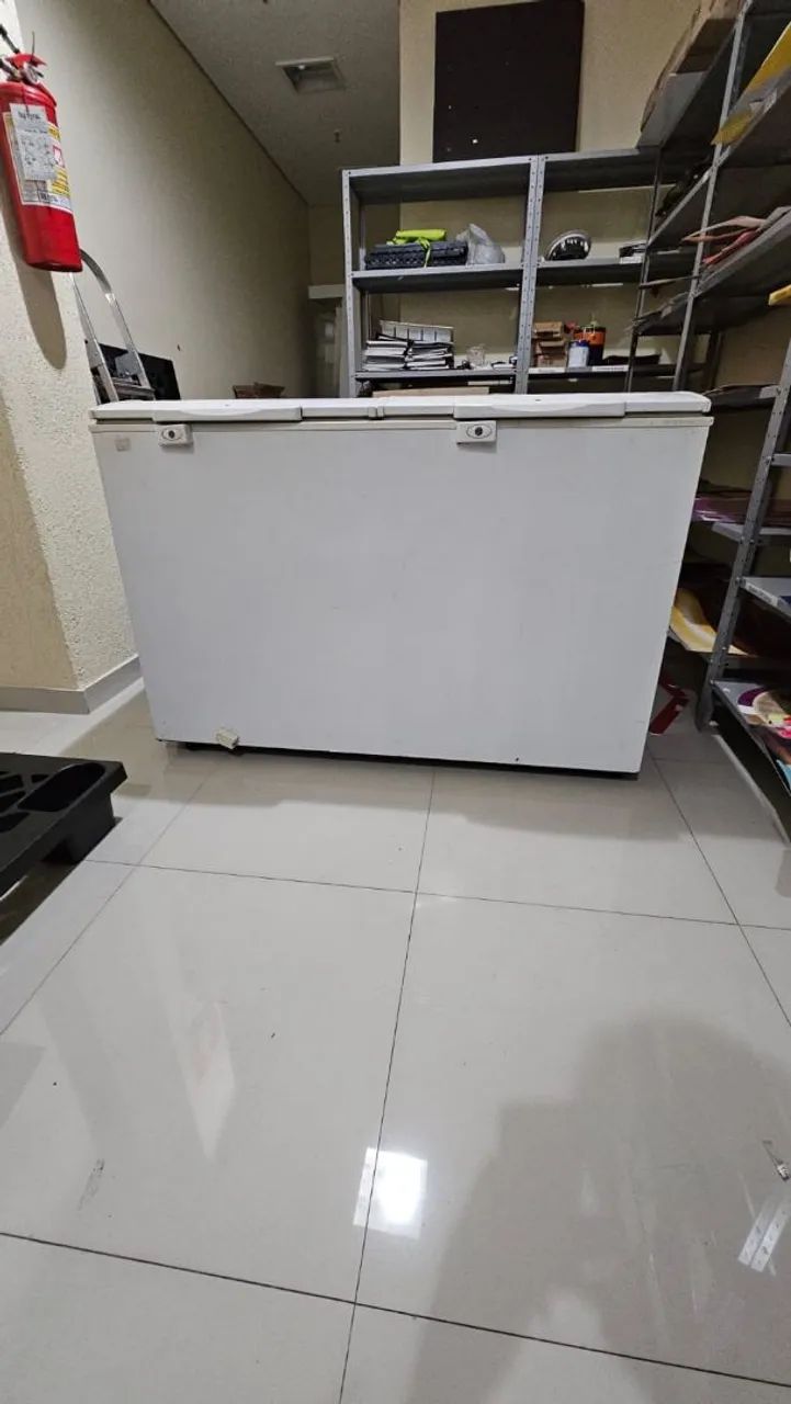 Freezer  Electrolux 