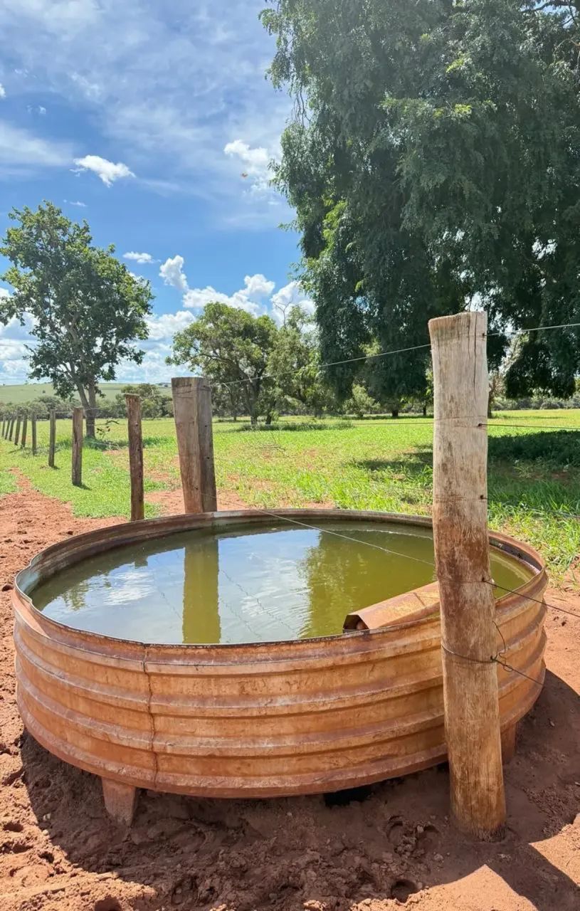 Fazenda Camapua - MS - Foto 3