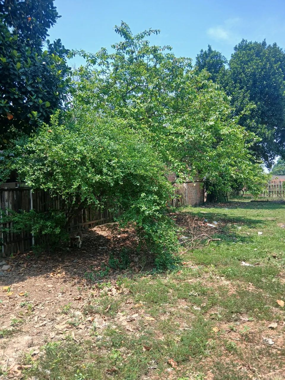Vendo esse lindo terreno  - Foto 5