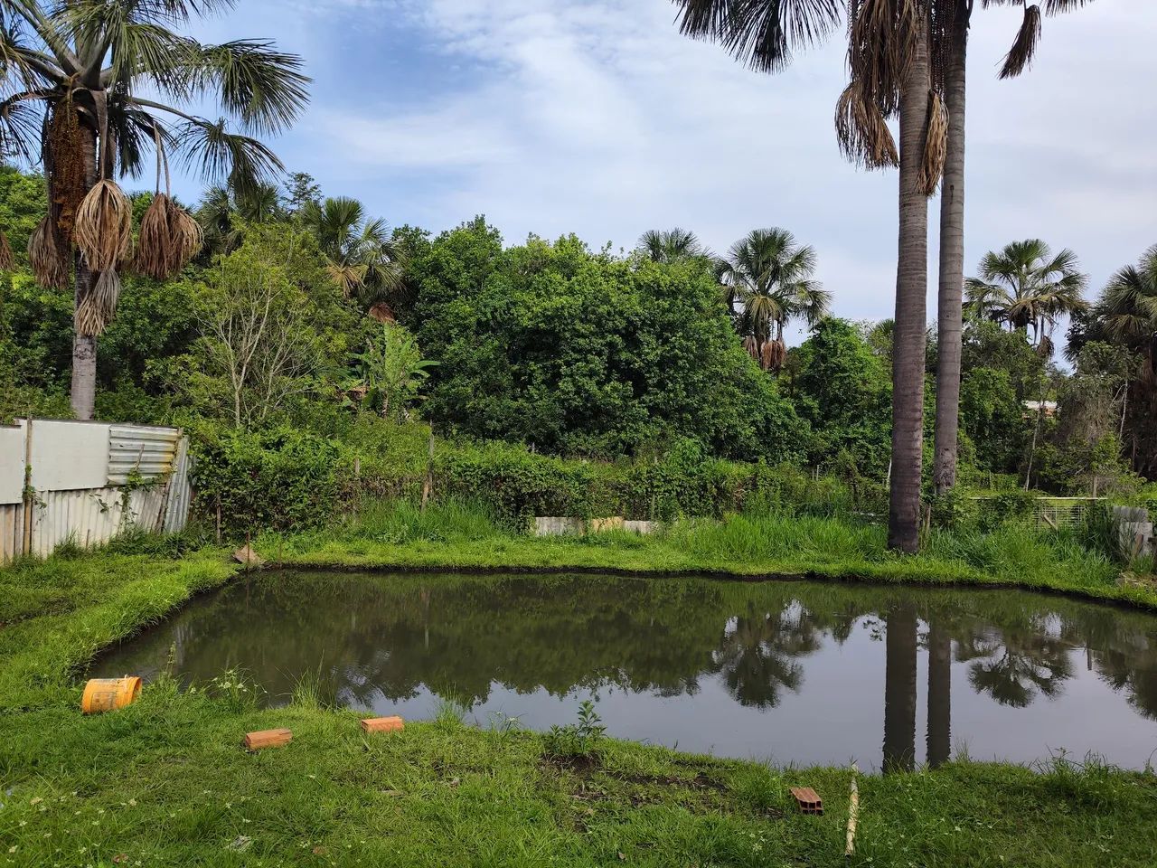 CHÁCARA EM ARAGOIÂNIA  - Foto 4