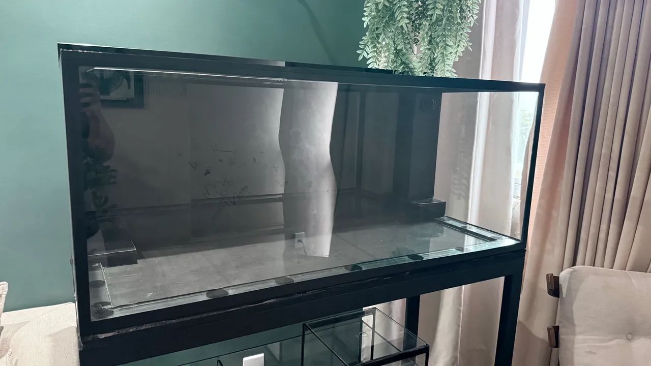 Aquario  - Foto 4