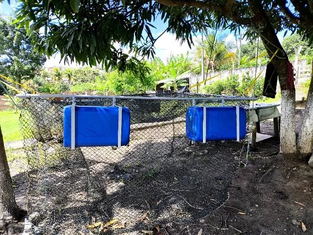 TANQUE REDE PARA CRIAÇÃO DE PEIXES  - Foto 5
