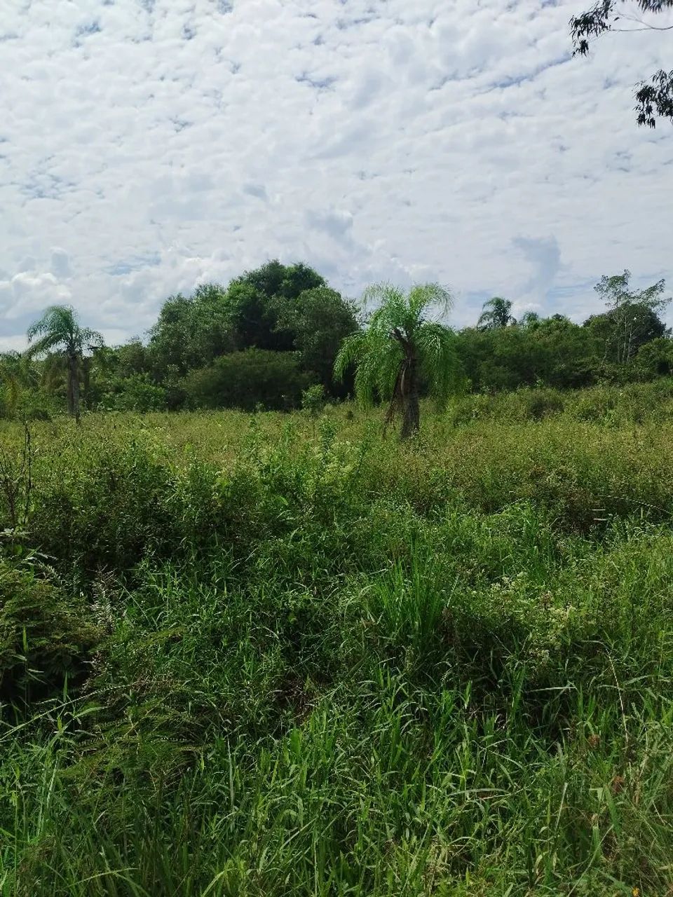 TERRENO EM PERUÍBE PRONTO PARA CONSTRUIR - Foto 3