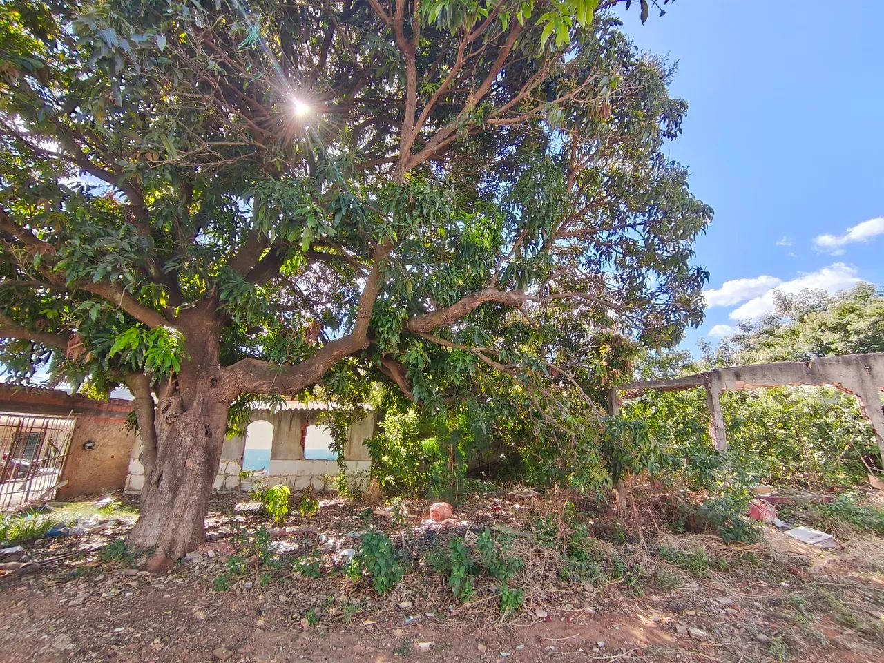 Terreno na Ceilândia norte  - Foto 4