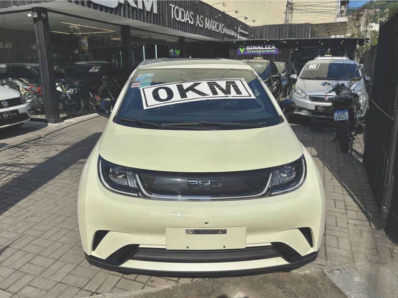 BYD Dolphin GS (Elétrico) 2027 - Foto 4