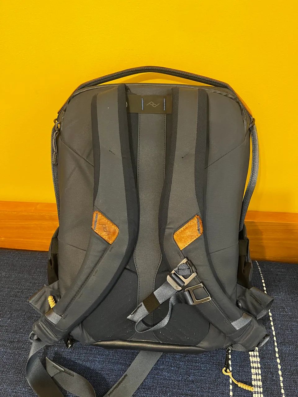 Mochila Peak Design Everyday Backpack 20L V2 - Foto 2