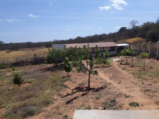 Chácara em Afogados da Ingazeira, 20 mil M² de Área, casa com 2 quartos - Foto 16