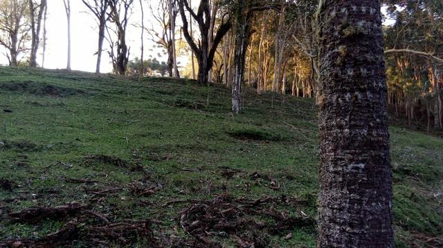 Chácara no formigueiro - Foto 2