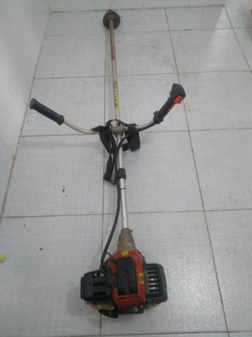 Rosadeira semi nova
