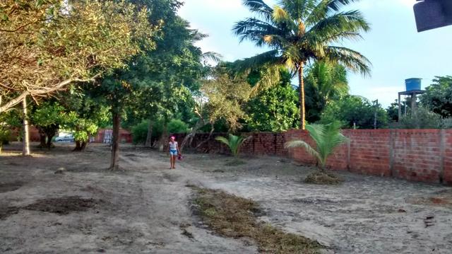 Lindo Sitio em São Jose dos Índios - Estrada de Ribamar * - Foto 6