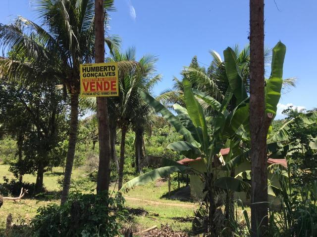 Fazenda na estrada Ilhéus/ Sambaituba - Foto 2
