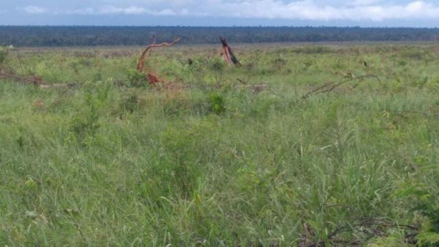 Fazenda em Marcelândia - Foto 8