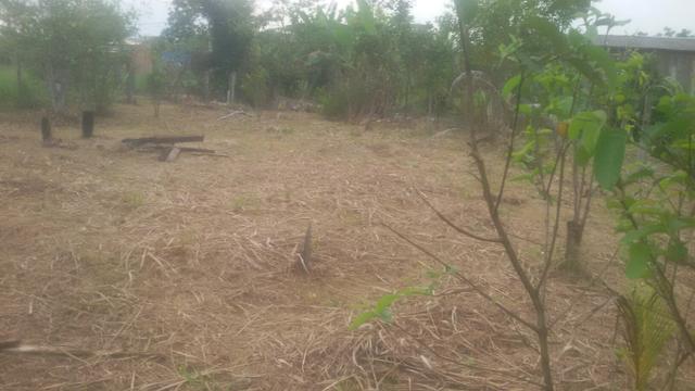 Terreno - Foto 2